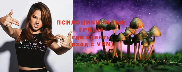 трава Армянск