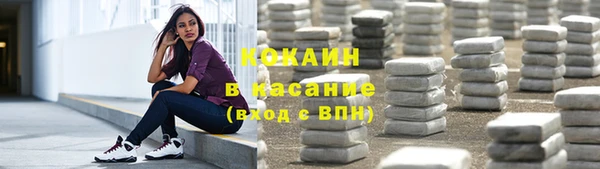 мяу мяу мука Арсеньев