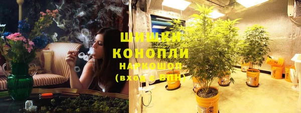 винт Аркадак
