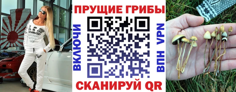 Псилоцибиновые грибы MAGIC MUSHROOMS  Белогорск 